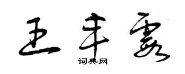 曾慶福王豐霞草書個性簽名怎么寫