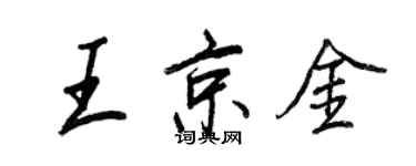 王正良王京金行書個性簽名怎么寫