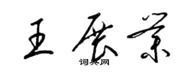 梁錦英王展業草書個性簽名怎么寫