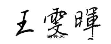 王正良王雯暉行書個性簽名怎么寫