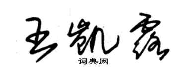 朱錫榮王凱露草書個性簽名怎么寫