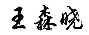 胡問遂王森曉行書個性簽名怎么寫