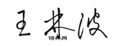 駱恆光王林波草書個性簽名怎么寫