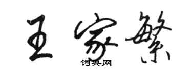 駱恆光王家繁行書個性簽名怎么寫