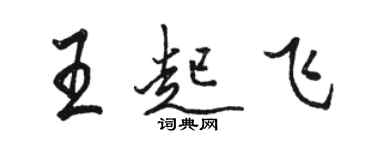 駱恆光王起飛行書個性簽名怎么寫