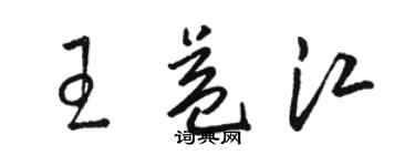 駱恆光王益江草書個性簽名怎么寫