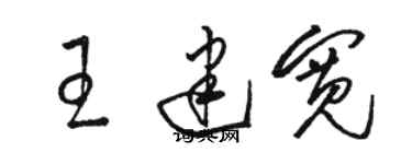 駱恆光王建寬草書個性簽名怎么寫