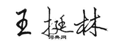 駱恆光王挺林行書個性簽名怎么寫