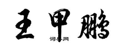 胡問遂王甲鵬行書個性簽名怎么寫