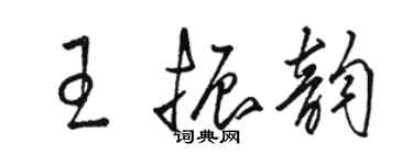 駱恆光王振韻草書個性簽名怎么寫