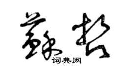 曾慶福蘇哲草書個性簽名怎么寫