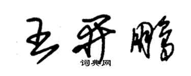 朱錫榮王開鵬草書個性簽名怎么寫