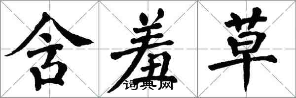 翁闓運含羞草楷書怎么寫