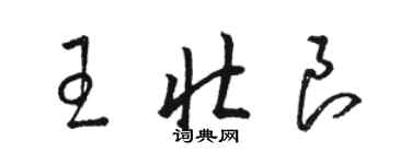 駱恆光王壯良草書個性簽名怎么寫