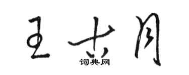 駱恆光王古月草書個性簽名怎么寫