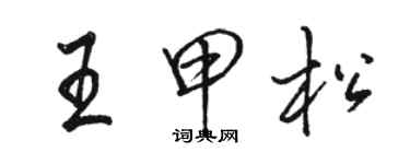 駱恆光王甲松行書個性簽名怎么寫