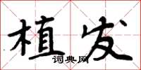 周炳元植髮楷書怎么寫