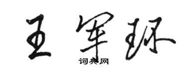 駱恆光王軍環行書個性簽名怎么寫