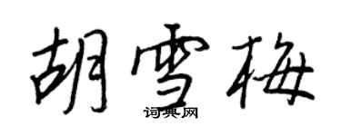 王正良胡雪梅行書個性簽名怎么寫