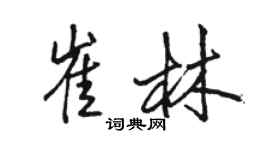 駱恆光崔林行書個性簽名怎么寫