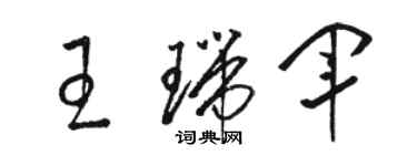 駱恆光王瑞軍草書個性簽名怎么寫