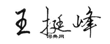 駱恆光王挺峰行書個性簽名怎么寫