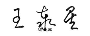 駱恆光王泰星草書個性簽名怎么寫