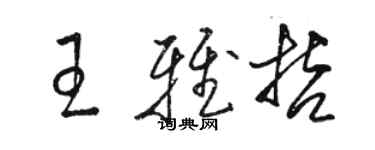 駱恆光王雅哲草書個性簽名怎么寫