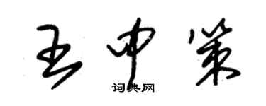 朱錫榮王中策草書個性簽名怎么寫