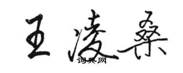 駱恆光王凌桑行書個性簽名怎么寫