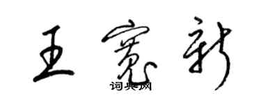 梁錦英王寬新草書個性簽名怎么寫
