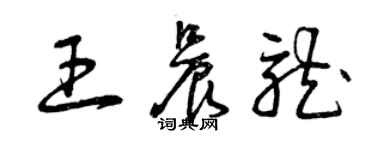 曾慶福王晨龍草書個性簽名怎么寫