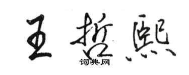 駱恆光王哲熙行書個性簽名怎么寫