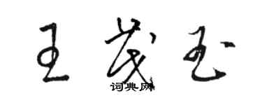 駱恆光王茂玉草書個性簽名怎么寫