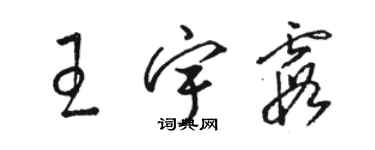 駱恆光王宇霞草書個性簽名怎么寫