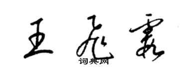 梁錦英王飛霞草書個性簽名怎么寫