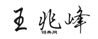 駱恆光王兆峰行書個性簽名怎么寫