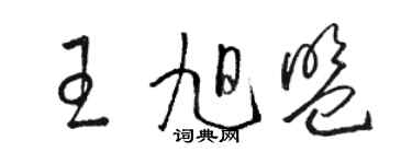 駱恆光王旭盟草書個性簽名怎么寫