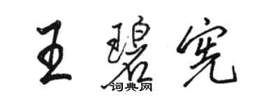 駱恆光王碧憲行書個性簽名怎么寫