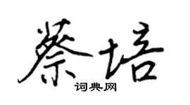 王正良蔡培行書個性簽名怎么寫