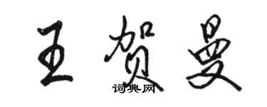 駱恆光王賀曼行書個性簽名怎么寫