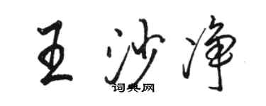 駱恆光王沙淨行書個性簽名怎么寫