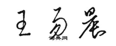 駱恆光王易晨草書個性簽名怎么寫