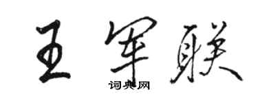 駱恆光王軍聯行書個性簽名怎么寫