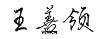 駱恆光王善領行書個性簽名怎么寫