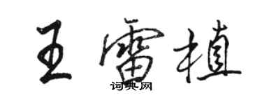 駱恆光王雷植行書個性簽名怎么寫