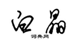 朱錫榮白晶草書個性簽名怎么寫