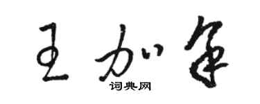 駱恆光王加余草書個性簽名怎么寫