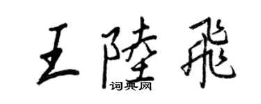 王正良王陸飛行書個性簽名怎么寫