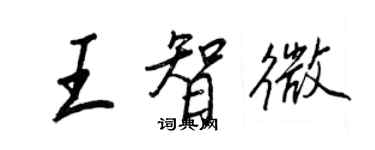 王正良王智微行書個性簽名怎么寫